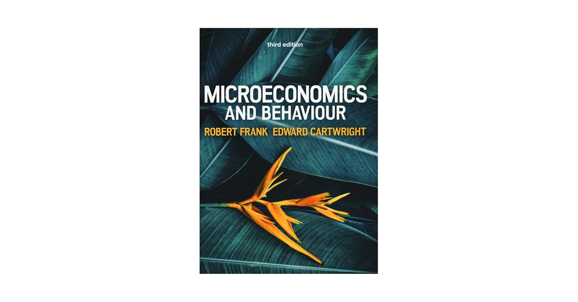 Microeconomics and Behaviour, 3e (UK Higher Education